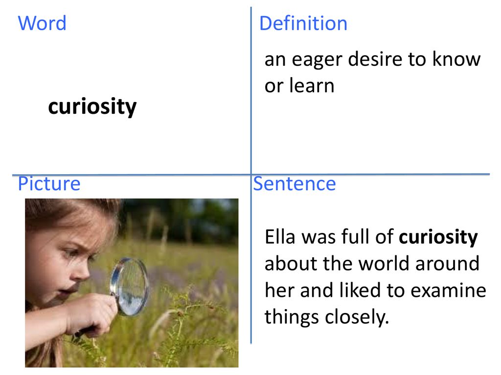 use curious in a sentence
