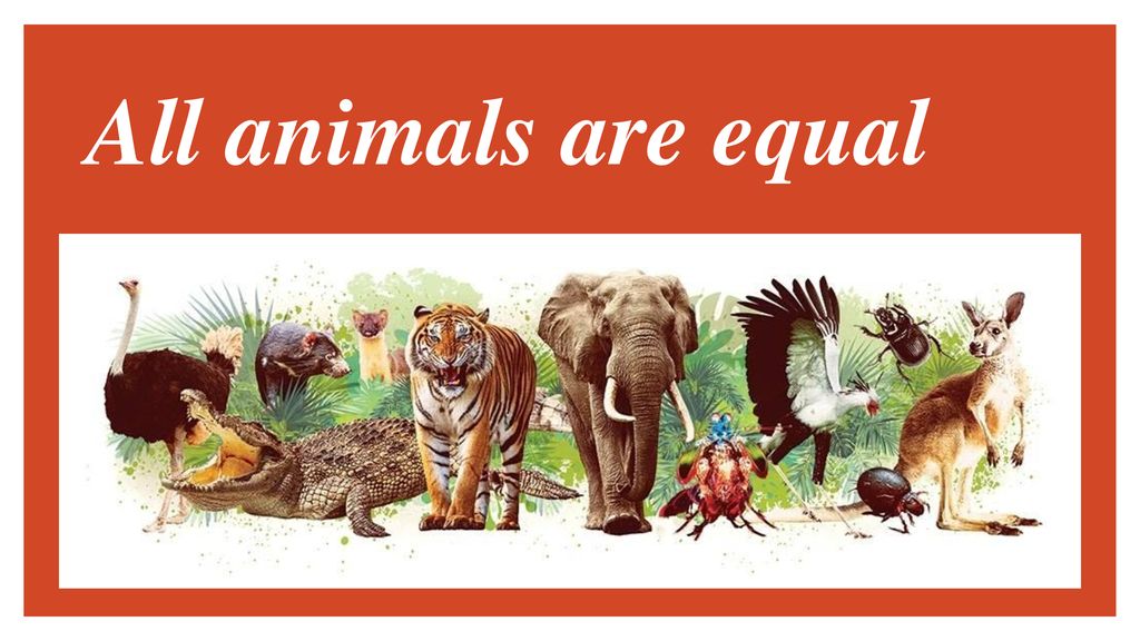 All animals are equal. - ppt download