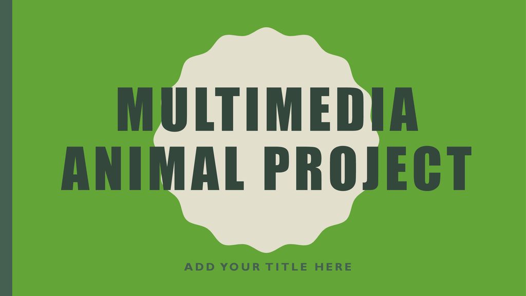 Multimedia Animal Project - ppt download