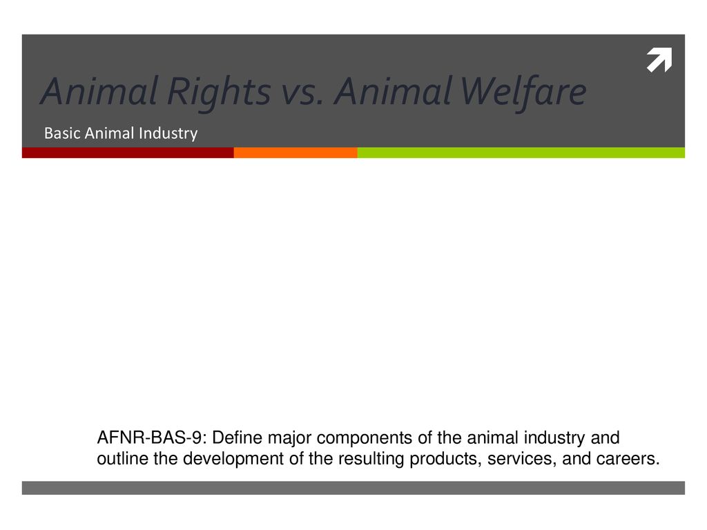 Animal Rights vs. Animal Welfare - ppt download
