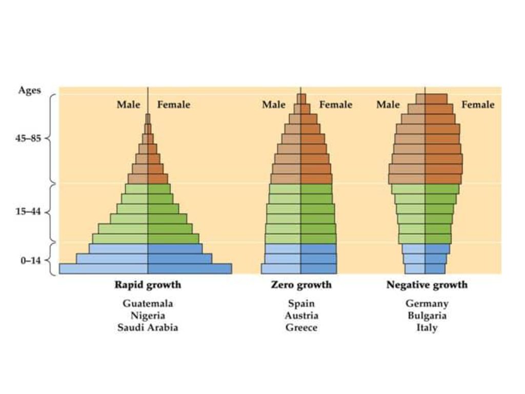 Age growth. Rapid population growth. Age structure diagram. Negative growth. Zero population growth Movement.