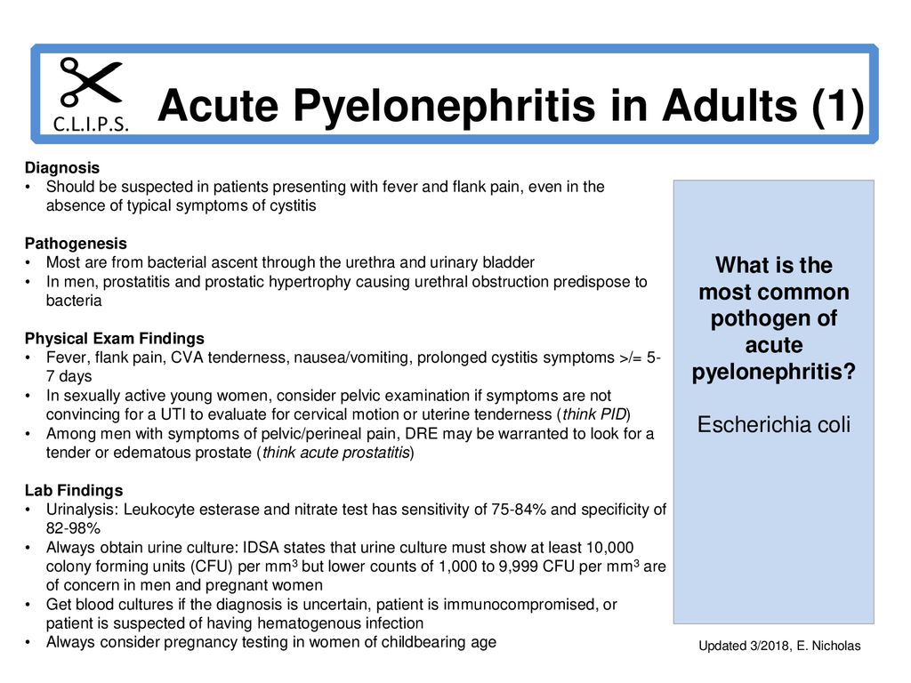 pyelonephritis prosztatitis)
