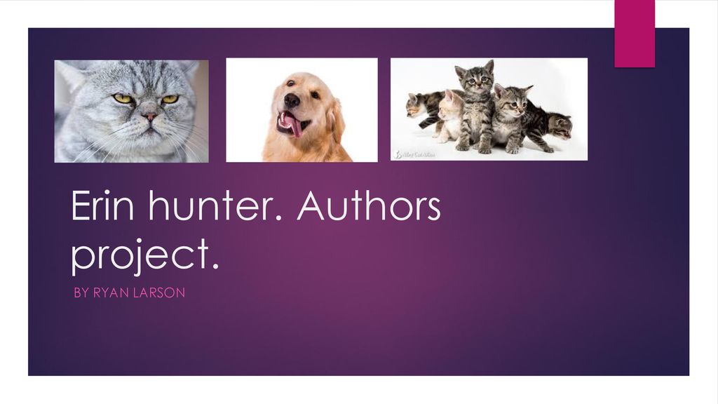 Warrior Cats: Into the wild By: Erin Hunter. SUMMARY: This book is about a young cat named Rusty, who joins wild cats in the forest to defend territory, - ppt download