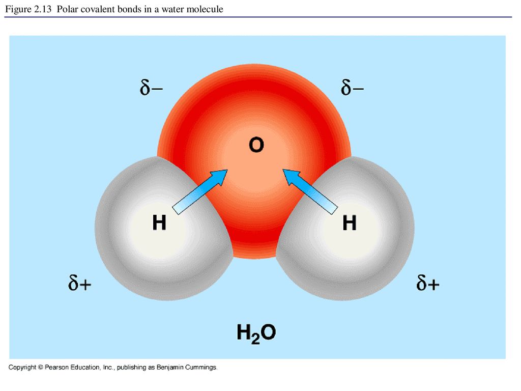 Состав воды кратко. Состав воды. Молекула воды состоит из. Вода в составе воды. Состав молекулы воды.