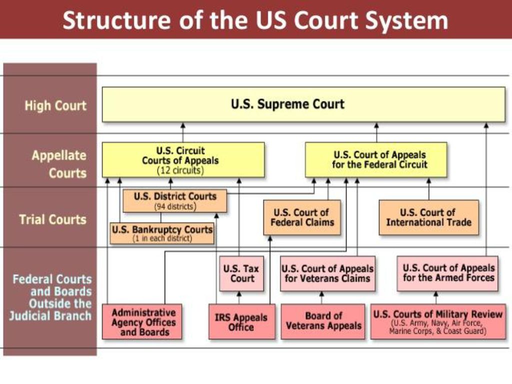 State components. Court System in the USA. State Court System USA. Court structure in USA. Structure of the State Court System.