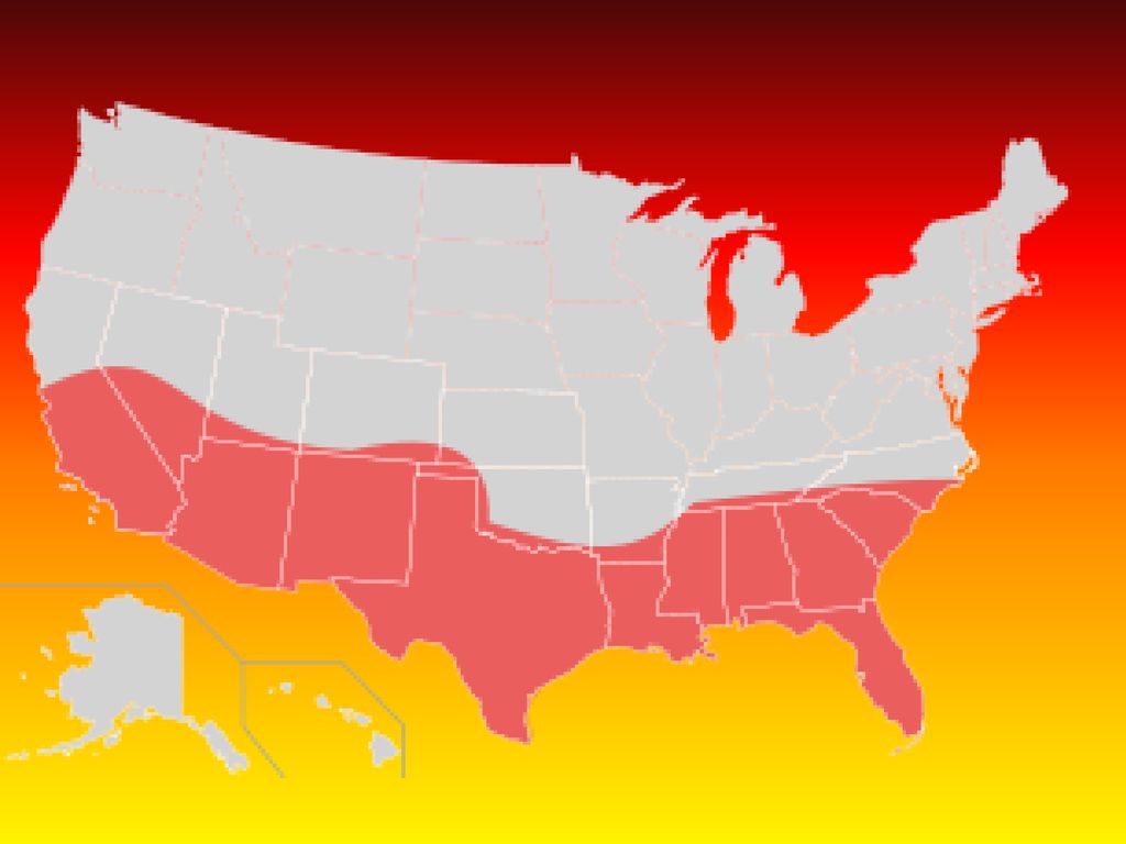 Rust belt top sun belt