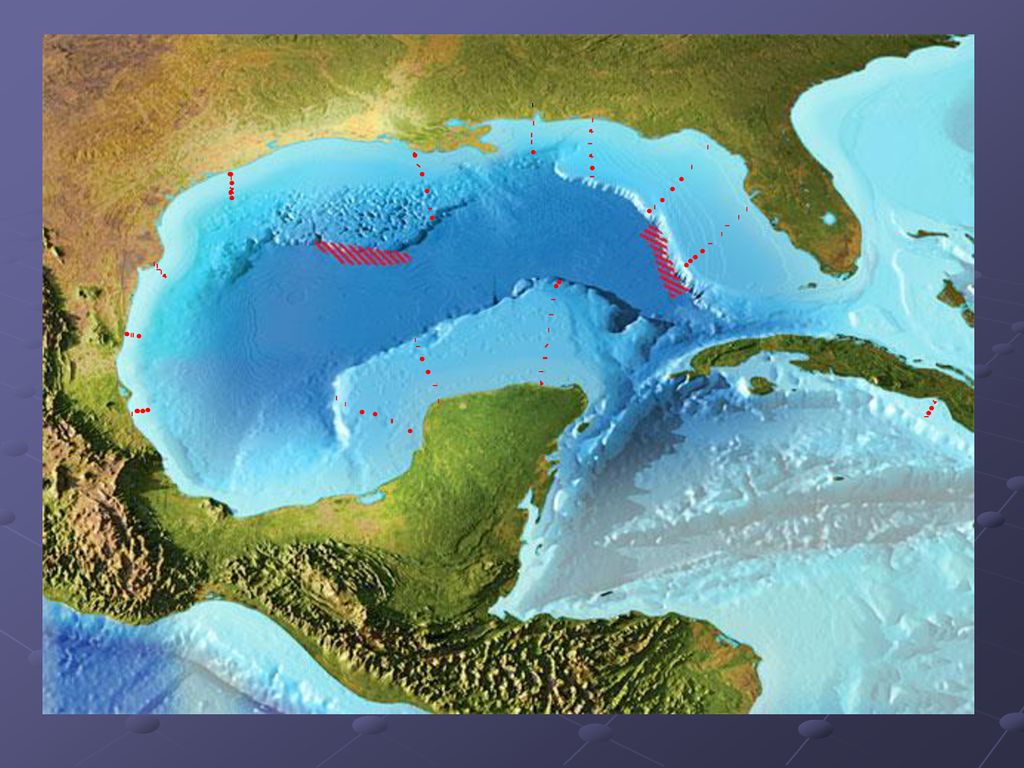 Пояс индийского океана. Континентальный шельф мирового океана. Океанский шельф. Шельфовые моря. Материковые моря.