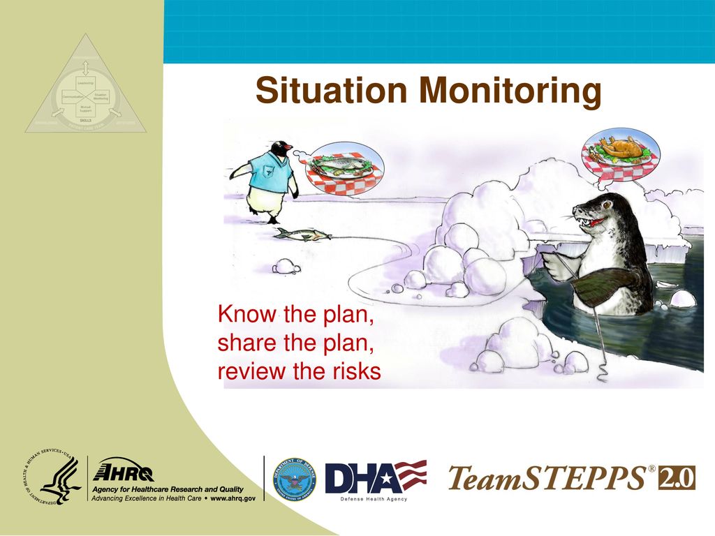 Situation Monitoring Know the plan, share the plan, review the risks. - ppt  download