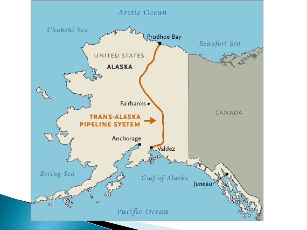 Alaskan Pipeline Condom