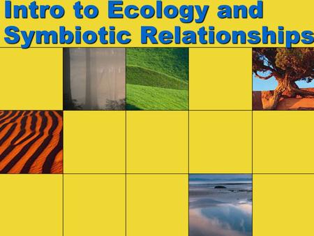 Intro to Ecology and Symbiotic Relationships. Ecology: How individual organisms interact with each other and with their environment How individual organisms.