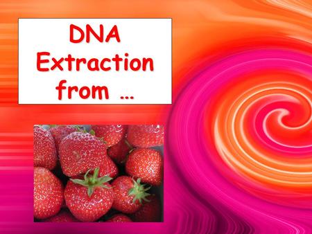 DNA Extraction from ….