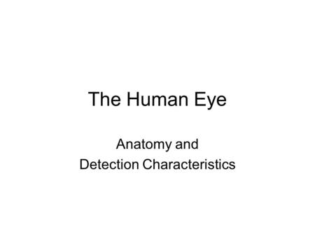 Anatomy and Detection Characteristics
