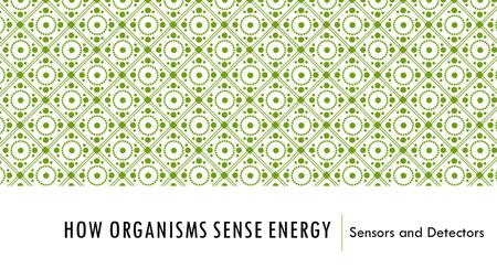 HOW ORGANISMS SENSE ENERGY Sensors and Detectors.