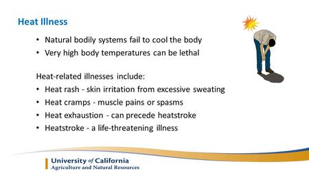 Heat Illness Natural bodily systems fail to cool the body Very high body temperatures can be lethal Heat-related illnesses include: Heat rash - skin irritation.