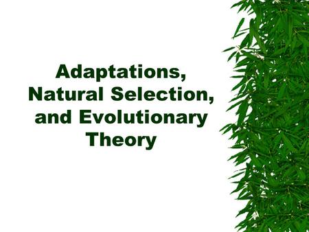 Adaptations, Natural Selection, and Evolutionary Theory
