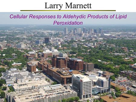 Larry Marnett Cellular Responses to Aldehydic Products of Lipid Peroxidation.