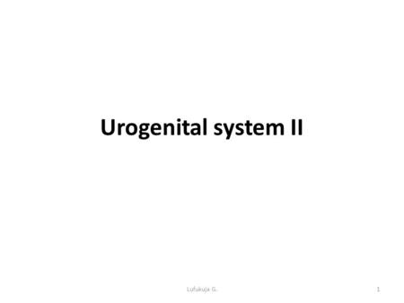 Urogenital system II Lufukuja G..