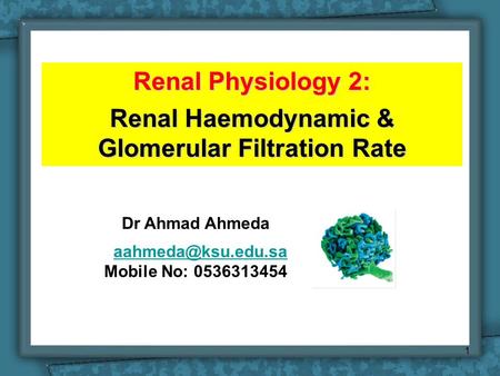Renal Physiology 2: Renal Haemodynamic & Glomerular Filtration Rate Dr Ahmad Ahmeda Mobile No: 0536313454 1.