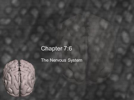 Chapter 7:6 The Nervous System.