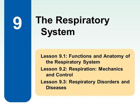 9 The Respiratory System