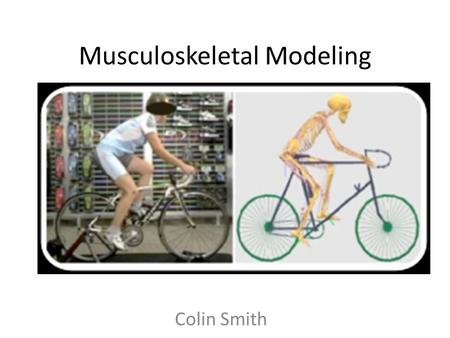 Musculoskeletal Modeling Colin Smith. A method for Studying Movement Things we can measure in movement: – Kinematics (using motion capture) – Output Forces.