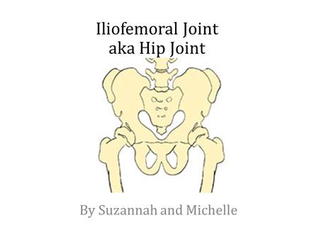 Iliofemoral Joint aka Hip Joint