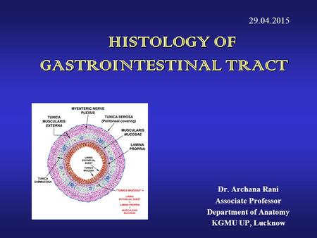 HISTOLOGY OF GASTROINTESTINAL TRACT