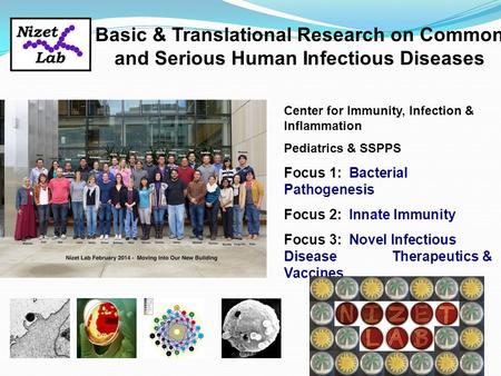 Center for Immunity, Infection & Inflammation Pediatrics & SSPPS Focus 1: Bacterial Pathogenesis Focus 2: Innate Immunity Focus 3: Novel Infectious Disease.