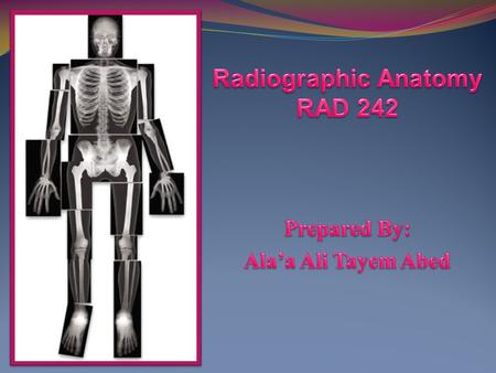 Radiographic Anatomy RAD 242