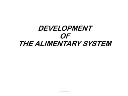 DEVELOPMENT OF THE ALIMENTARY SYSTEM