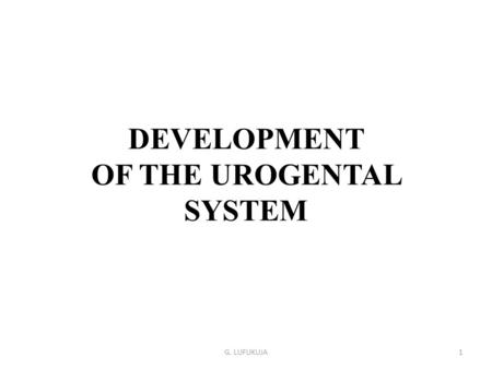 DEVELOPMENT OF THE UROGENTAL SYSTEM