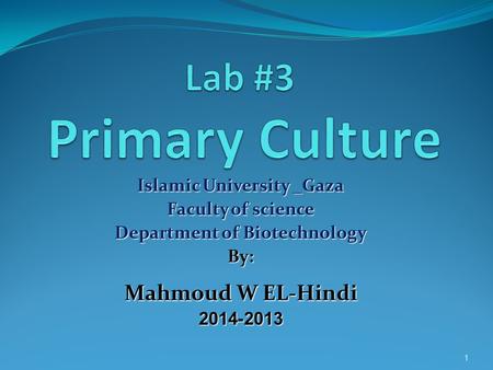 Islamic University _Gaza Department of Biotechnology