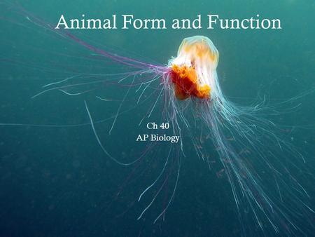 Animal Form and Function Ch 40 AP Biology. Overview Anatomy: the structure of an organism Physiology: the processes and functions of an organism “STRUCTURE.