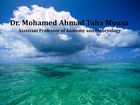 Dr. Mohamed Ahmad Taha Mousa