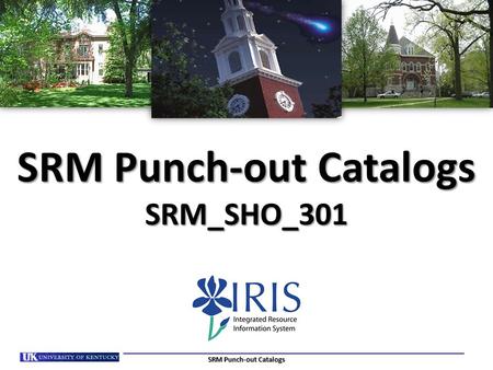 SRM Punch-out Catalogs SRM_SHO_301