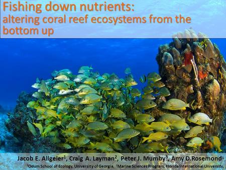 Fishing down nutrients: altering coral reef ecosystems from the bottom up Jacob E. Allgeier 1, Craig A. Layman 2, Peter J. Mumby 3, Amy D.Rosemond 1 1.