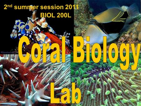 BIOL 200L 2 nd summer session 2011. Use the scientific method of inquiry to investigate biological phenomena. Apply the concepts learned in BIOL 200 to.
