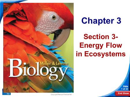 End Show Slide 1 of 33 Chapter 3 Section 3- Energy Flow in Ecosystems Copyright Pearson Prentice Hall.