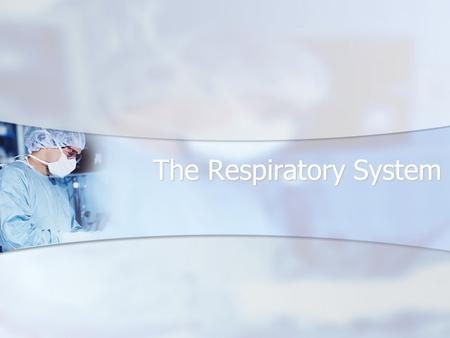 The Respiratory System. Respiratory System Includes the nasal cavity, pharynx, larynx, trachea, bronchi, bronchioles, alveoli, lungs, and pleura. Includes.