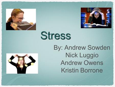 Stress By: Andrew Sowden Nick Luggio Andrew Owens Kristin Borrone.