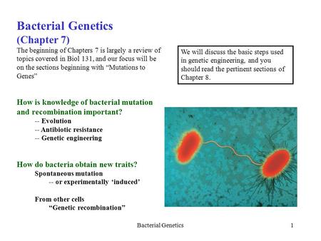 Bacterial Genetics1 (Chapter 7) The beginning of Chapters 7 is largely a review of topics covered in Biol 131, and our focus will be on the sections beginning.