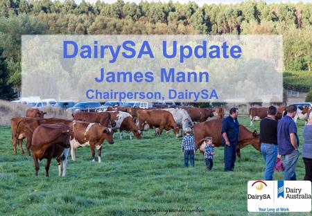 DairySA Update James Mann Chairperson, DairySA. t: 08 8766 0127 e: Your levy....your say DairySA focuses on delivering regionally.