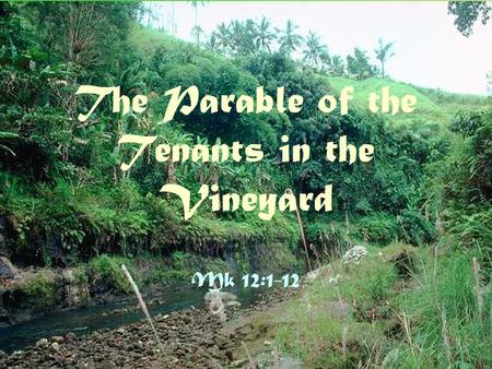 The Parable of the Tenants in the Vineyard Mk 12:1-12.