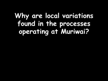 Why are local variations found in the processes operating at Muriwai?