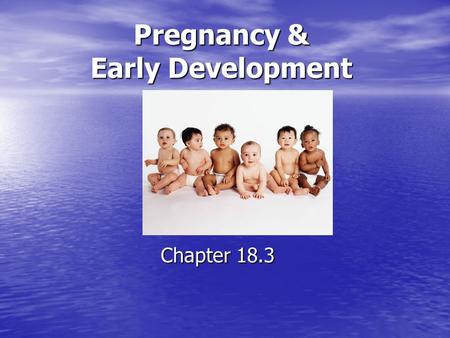 Pregnancy & Early Development