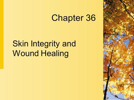Chapter 36 Skin Integrity and Wound Healing. 36-2 Copyright 2004 by Delmar Learning, a division of Thomson Learning, Inc. Normal Structures and Function.