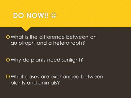 DO NOW!!  What is the difference between an autotroph and a heterotroph?  Why do plants need sunlight?  What gases are exchanged between plants and.