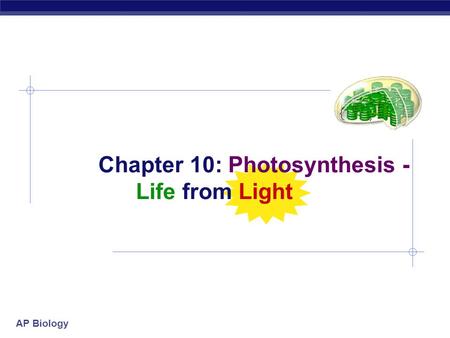 Chapter 10: Photosynthesis - Life from Light