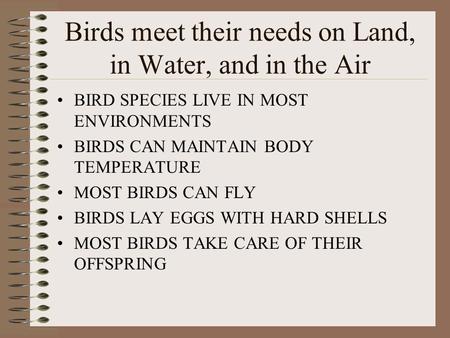 Birds meet their needs on Land, in Water, and in the Air