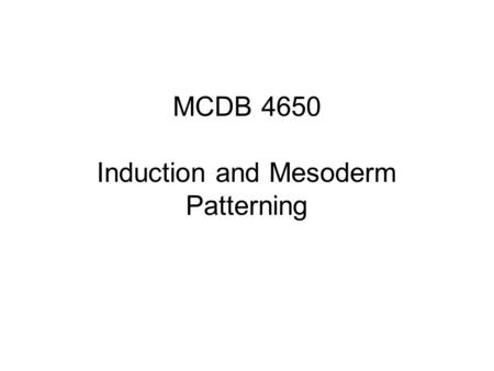 MCDB 4650 Induction and Mesoderm Patterning. If you isolate animal cap cells from a Xenopus embryo at the 8-cell stage and assay them 1 day later, they.